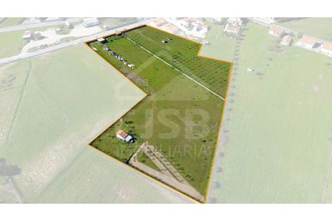 Terra a Samora Correia, Santarem, Samora Correia - € 1.950.000 | Ref: 501.2508 - foto 4