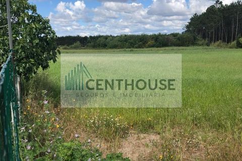 Helårsgrund i Cantanhede, Coimbra, Cantanhede - € 50.000 | Ref: C2513 - foto 1