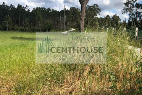 Helårsgrund i Cantanhede, Coimbra, Cantanhede - € 50.000 | Ref: C2513 - foto 2