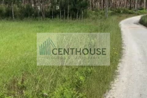 Helårsgrund i Cantanhede, Coimbra, Cantanhede - € 50.000 | Ref: C2513 - foto 3