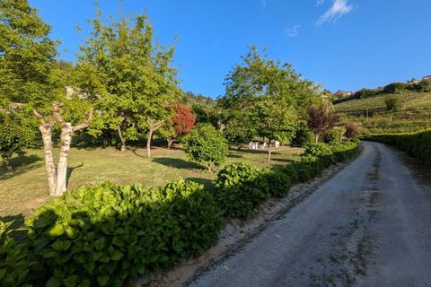 Villa i Regilde, Porto, Regilde - € 890.000 | Ref: L2025319 - foto 14