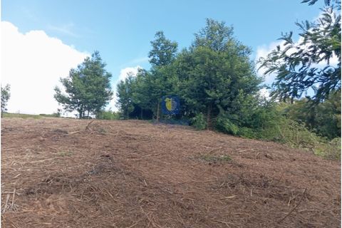 Helårsgrund i Carvalhal, Leiria, Carvalhal - € 45.000 | Ref: CAL-216778 - foto 2