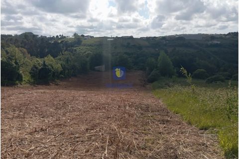 Helårsgrund i Carvalhal, Leiria, Carvalhal - € 45.000 | Ref: CAL-216778 - foto 4