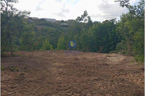 Helårsgrund i Carvalhal, Leiria, Carvalhal - € 45.000 | Ref: CAL-216778 - foto 5