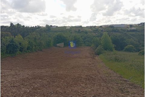 Helårsgrund i Carvalhal, Leiria, Carvalhal - € 45.000 | Ref: CAL-216778 - foto 7