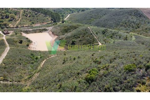 Helårsgrund i Silves, Faro, Silves - € 750.000 | Ref: LT-7800 - foto 7