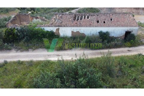 Helårsgrund i Silves, Faro, Silves - € 750.000 | Ref: LT-7800 - foto 5