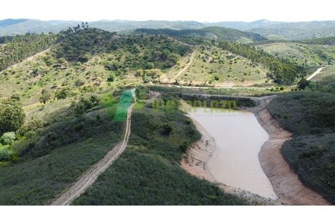 Helårsgrund i Silves, Faro, Silves - € 750.000 | Ref: LT-7800 - foto 6