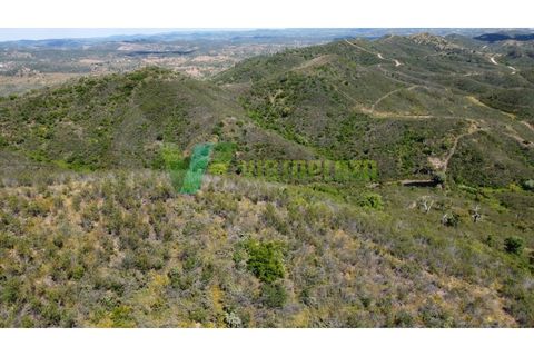 Helårsgrund i Silves, Faro, Silves - € 750.000 | Ref: LT-7800 - foto 10