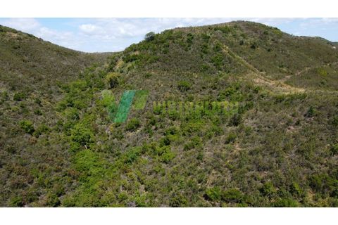Helårsgrund i Silves, Faro, Silves - € 750.000 | Ref: LT-7800 - foto 11