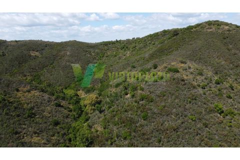 Helårsgrund i Silves, Faro, Silves - € 750.000 | Ref: LT-7800 - foto 12