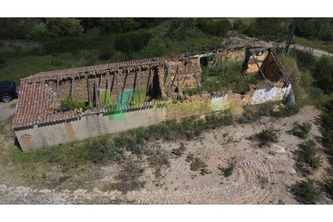 Helårsgrund i Silves, Faro, Silves - € 750.000 | Ref: LT-7800 - foto 4