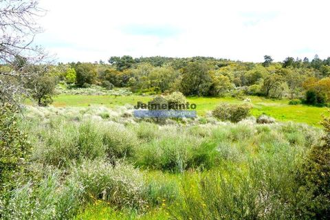 Terra a Celorico da Beira, Guarda, Celorico da Beira - € 375.000 | Ref: 9804_Q - foto 4