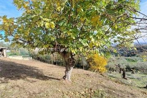 Villa a Penne, Pescara, Penne - € 42.000 | Ref: PNN880 - foto 7