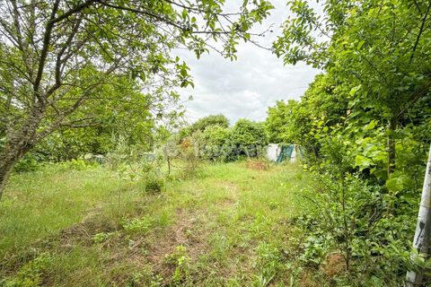 Villa a Tomar, Santarem, Tomar - € 147.000 | Ref: 01507-25 - foto 24