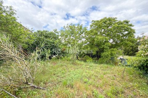 Villa a Tomar, Santarem, Tomar - € 147.000 | Ref: 01507-25 - foto 25