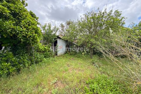 Villa a Tomar, Santarem, Tomar - € 147.000 | Ref: 01507-25 - foto 26