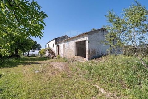 Farm hus i Evora, Evora, Evora - € 790.000 | Ref: 120612854-3 - foto 8
