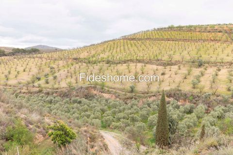 Landejendom i Villamena, Granada - foto 2