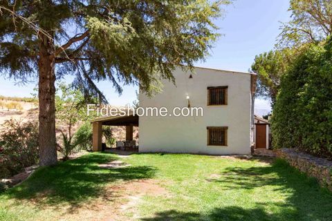 Landejendom i Villamena, Granada - foto 3