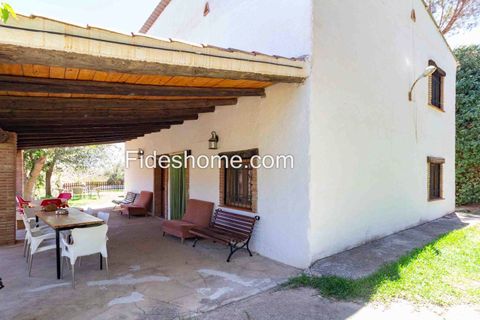 Landejendom i Villamena, Granada - foto 5