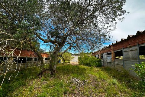 Finca i L'Ametlla De Mar, Tarragona - foto 1