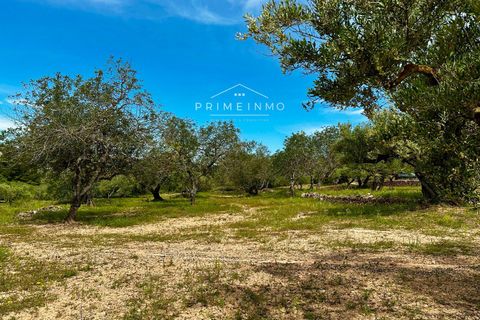 Finca i L'Ametlla De Mar, Tarragona - foto 3