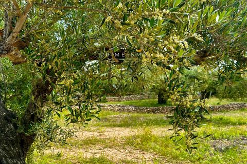 Finca i L'Ametlla De Mar, Tarragona - foto 5