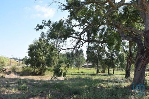 Terra a Leiria, Leiria, Leiria - € 60.000 | Ref: 110826 - foto 2