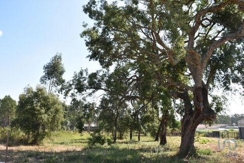 Terra a Leiria, Leiria, Leiria - € 60.000 | Ref: 110826 - foto 3