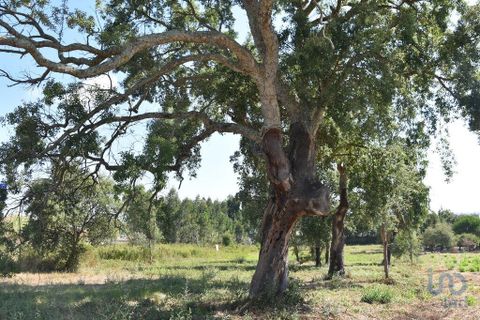 Terra a Leiria, Leiria, Leiria - € 60.000 | Ref: 110826 - foto 4