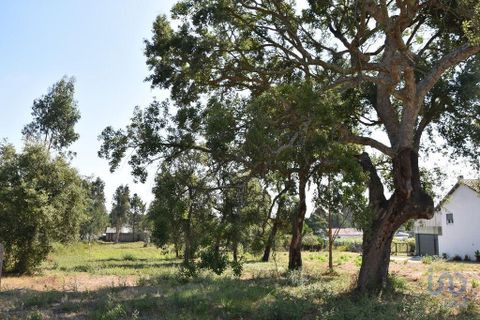 Terra a Leiria, Leiria, Leiria - € 60.000 | Ref: 110826 - foto 5