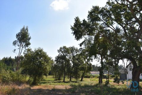 Terra a Leiria, Leiria, Leiria - € 60.000 | Ref: 110826 - foto 6