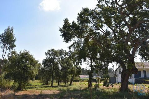 Terra a Leiria, Leiria, Leiria - € 60.000 | Ref: 110826 - foto 7