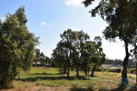 Terra a Leiria, Leiria, Leiria - € 60.000 | Ref: 110826 - foto 8