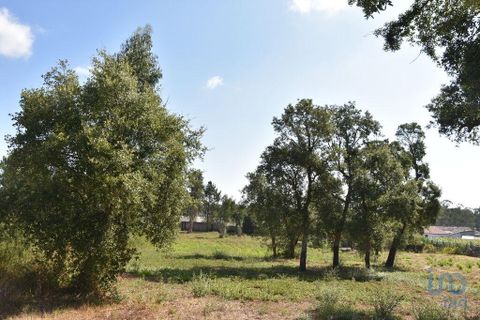 Terra a Leiria, Leiria, Leiria - € 60.000 | Ref: 110826 - foto 9