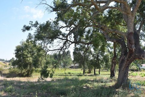 Terra a Leiria, Leiria, Leiria - € 60.000 | Ref: 110826 - foto 10