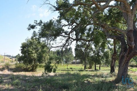 Terra a Leiria, Leiria, Leiria - € 60.000 | Ref: 110826 - foto 11