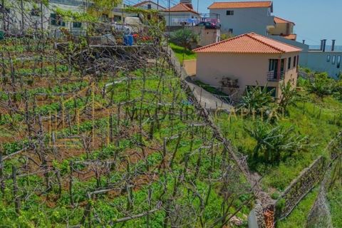 Villa i Camara de Lobos, Madeira, Camara de Lobos - € 395.000 | Ref: MC_69 - foto 4