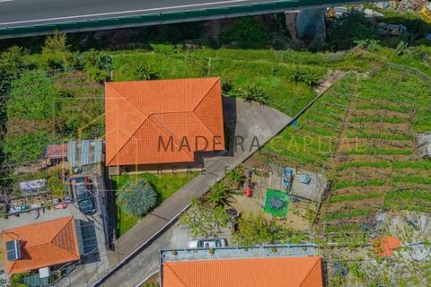 Villa i Camara de Lobos, Madeira, Camara de Lobos - € 395.000 | Ref: MC_69 - foto 13