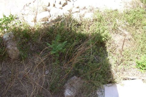 Villa a Guardialfiera, Campobasso, Guardialfiera - € 13.000 | Ref: 1968-488350 - foto 5