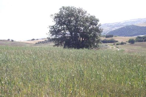 Tomt i Guardialfiera, Campobasso, Guardialfiera - € 18 000 | Ref: 1979-488438 - foto 4