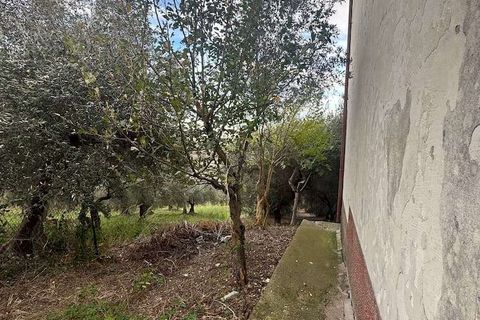 Farm hus i Guardialfiera, Campobasso, Guardialfiera - € 87.000 | Ref: 1991-488543 - foto 12