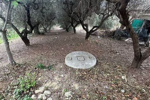 Farm hus i Guardialfiera, Campobasso, Guardialfiera - € 87.000 | Ref: 1991-488543 - foto 13