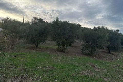 Farm hus i Guardialfiera, Campobasso, Guardialfiera - € 87.000 | Ref: 1991-488543 - foto 16