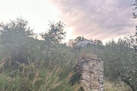 Farm hus i Guardialfiera, Campobasso, Guardialfiera - € 87.000 | Ref: 1991-488543 - foto 18