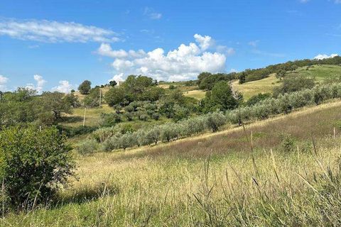Farm hus i Lupara, Campobasso, Lupara - € 95.000 | Ref: 1993-488575 - foto 4