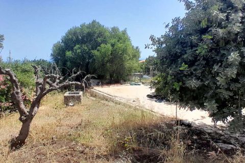 Villa a Pozzallo, Ragusa, Pozzallo - € 480.000 | Ref: RP-488631-488631 - foto 10