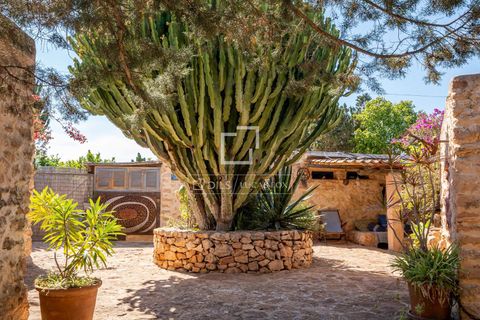 Villa a Cap De Barbaria, Formentera, Cap De Barbaria - € 2.500.000 | Ref: IBZ59600 - foto 2