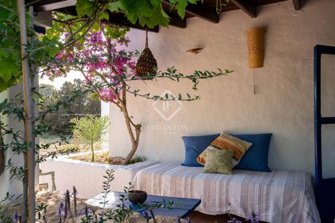 Villa a Cap De Barbaria, Formentera, Cap De Barbaria - € 2.500.000 | Ref: IBZ59600 - foto 8
